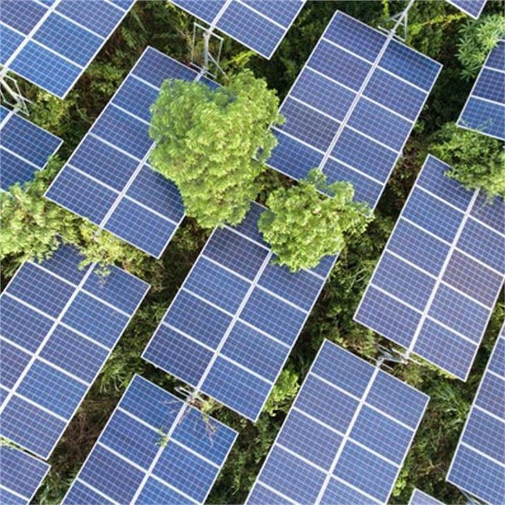 large industrial solar panels (2)_